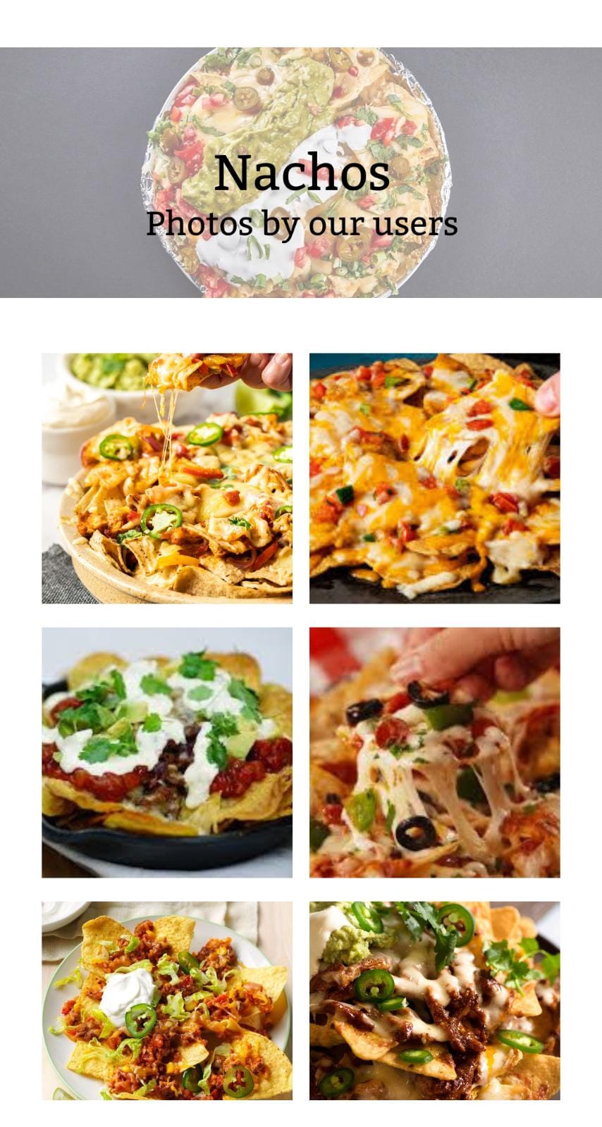 omnifood app on iphone